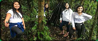Visit Manu, ayahuasca, san pedro
