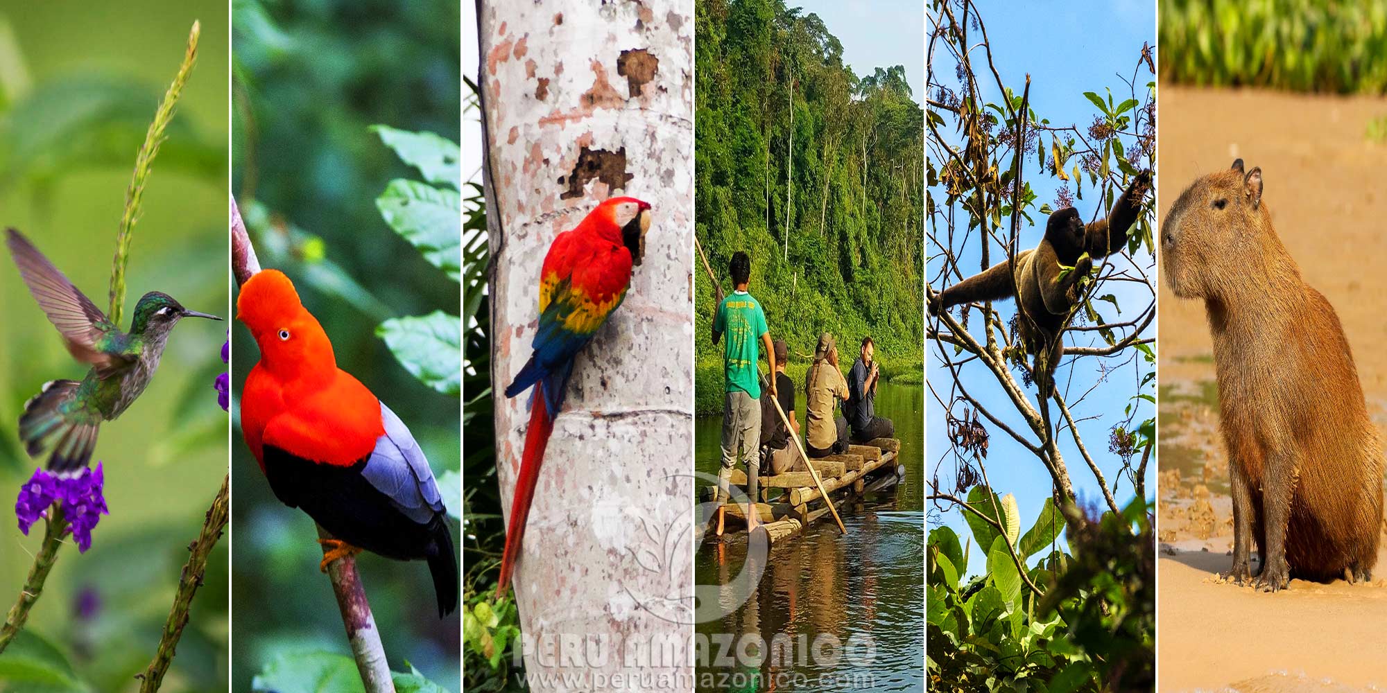 MANU ADVENTURES TRIPS